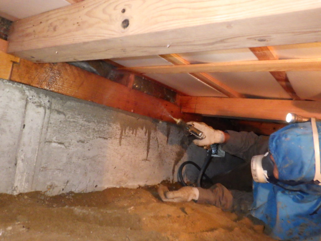 シロアリ駆除はゴキブリに効果あり 消毒会社が解説