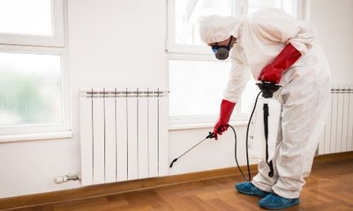 シロアリ駆除はゴキブリに効果あり 消毒会社が解説