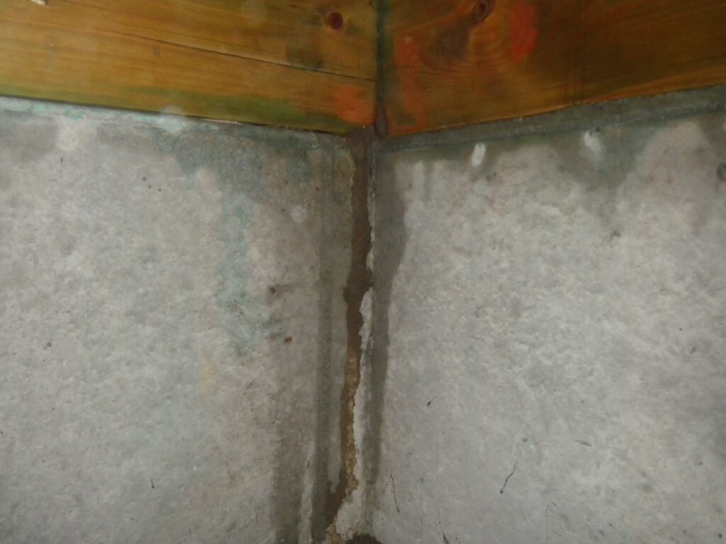 コンクリートの隙間からできた蟻道
