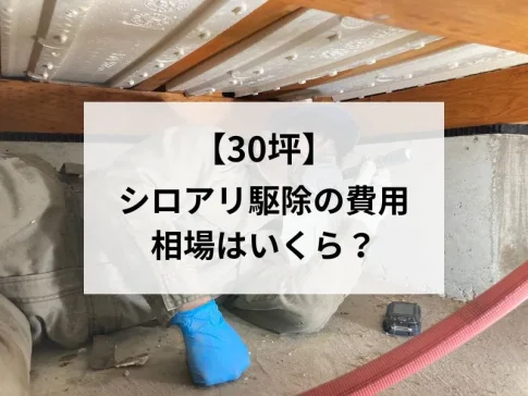 【30坪】シロアリ駆除費用の相場はいくら？