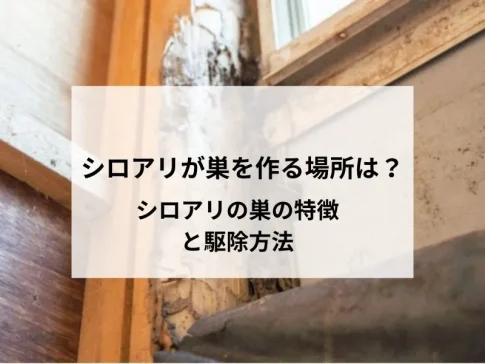 シロアリが巣を作る場所は？シロアリの巣の特徴と駆除方法