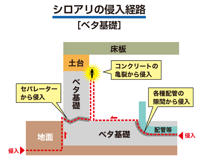 シロアリの侵入経路(ベタ基礎)