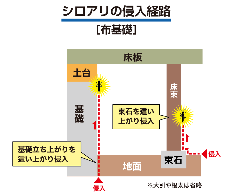 シロアリの侵入経路(布基礎)