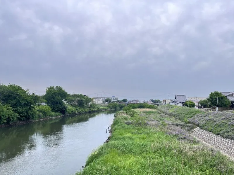 住宅街の近くを流れる川