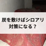 炭を敷けばシロアリ対策になる?大きな誤解と炭の効果