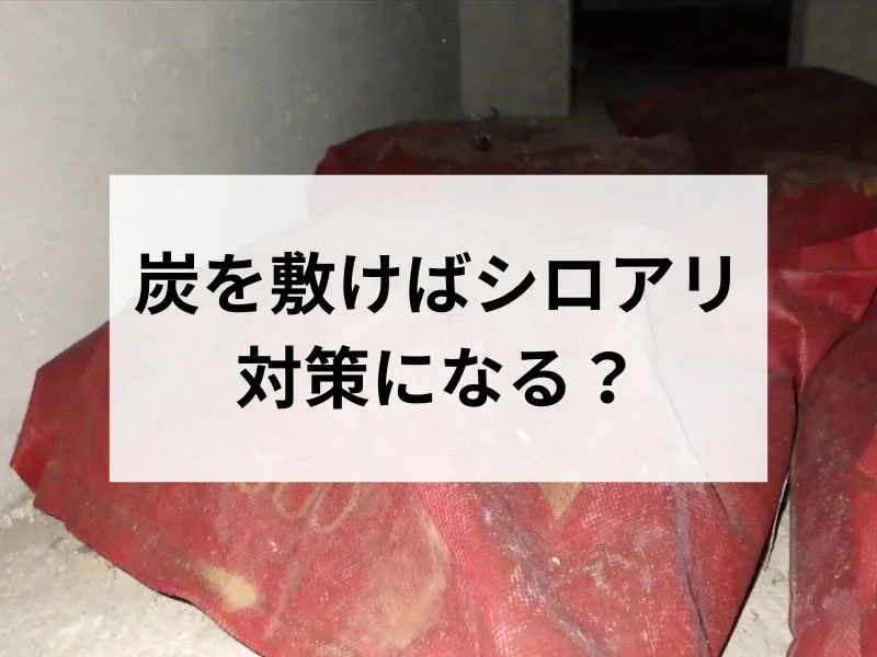 炭を敷けばシロアリ対策になる?大きな誤解と炭の効果